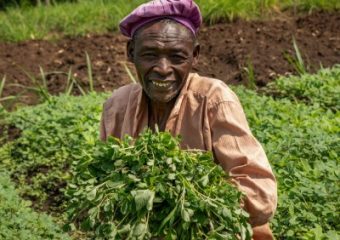 A farmer displaying fresh Africa Vegetables